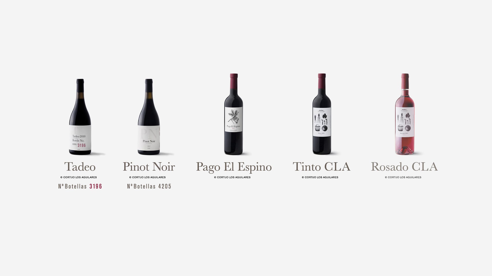 Wine Catalogue — Cortijo Los Aguilares